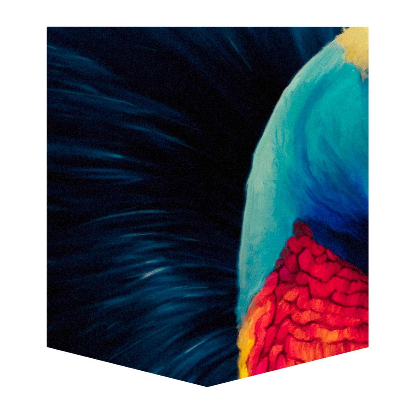 Cassowary Kid's Pocket Tee