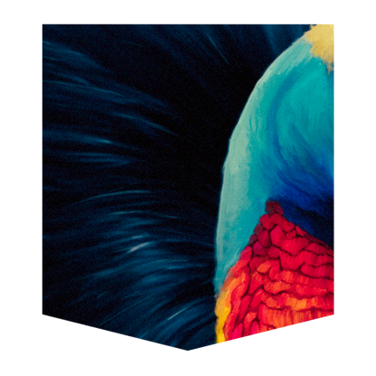 Cassowary Kid's Pocket Tee